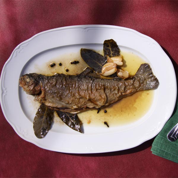Comida 1